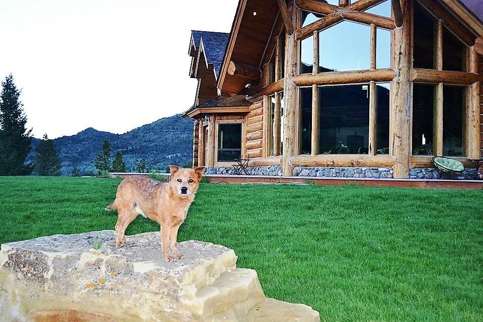 Mcdonald'S Ranch Lodge Gardiner Kültér fotó